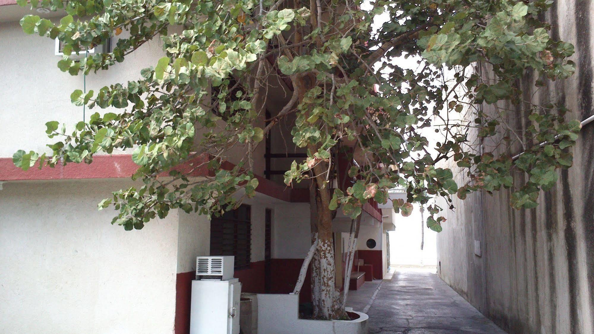 Safari Inn Cozumel Bagian luar foto