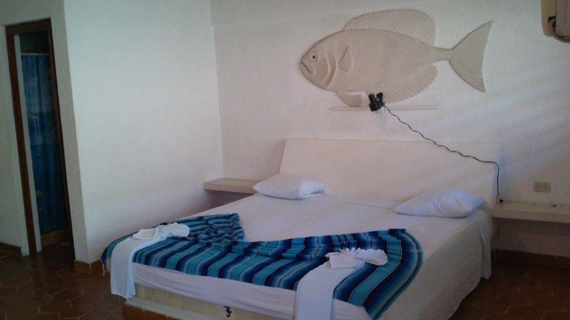 Safari Inn Cozumel Bagian luar foto